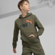 ESS+2 COL BIG LOGO HOODIE DARK OLIVE