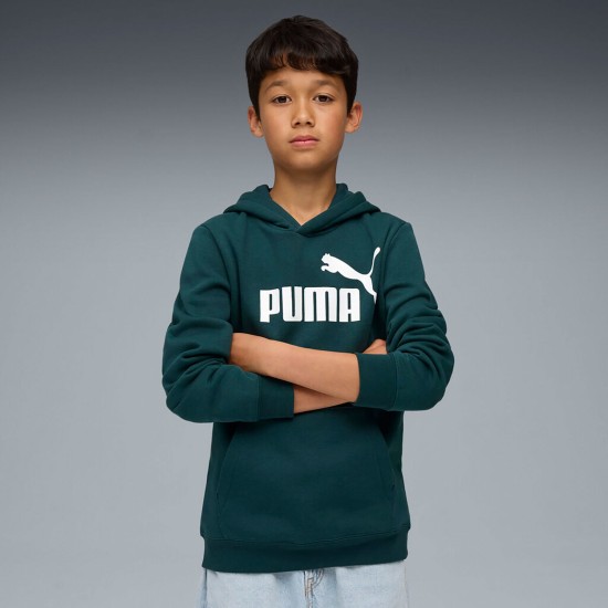 ESS LOGO HOODIE FL GREEN TERRAIN