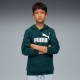 ESS LOGO HOODIE FL GREEN TERRAIN