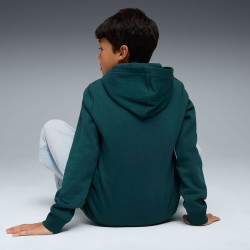 ESS LOGO HOODIE FL GREEN TERRAIN
