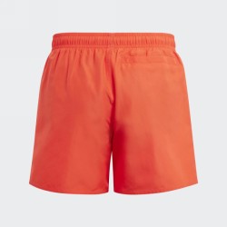 YB BOS SHORTS BRIRED/WHITE