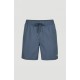 VERT SWIM SHORTS  ENSIGN BLUE