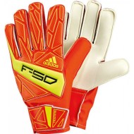 F50 TRAINING HIGHENERG/ELECTRICI